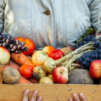 “Siamo alla frutta”. Terra! presenta il nuovo rapporto. Perché un cibo bello non è sempre buono per l’ambiente e l’agricoltura - Il Fatto Alimentare