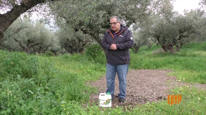 AMINO 16 & ΔΙΑΦΟΡΟΠΟΙΗΣΗ ΣΤΗΝ ΕΛΙΑ