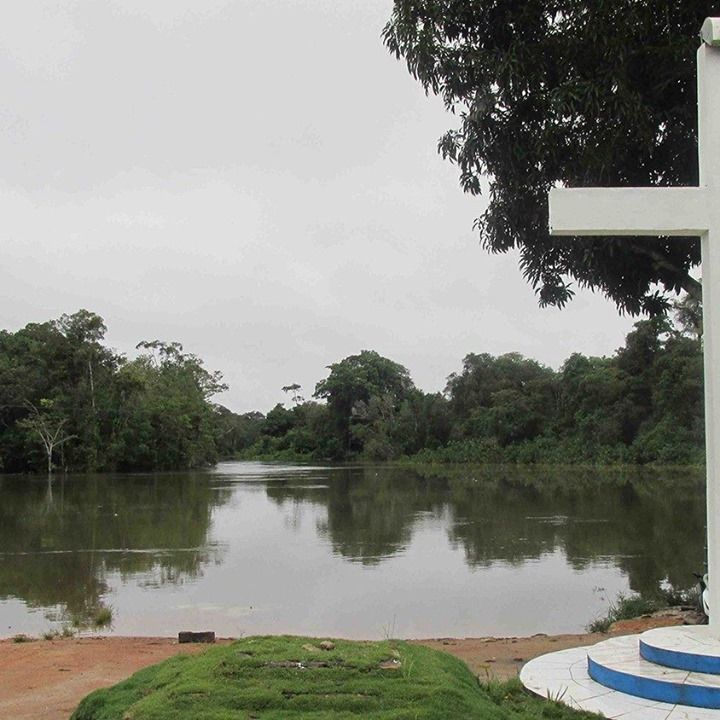#SinodoAmazonico. Il Documento finale: Chiesa alleata dell'Amazzonia - Vatican News