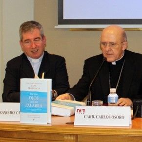 Archidiocesis de Madrid - Padre Spadaro: «Francisco está metiendo a la Iglesia en ejercicios espirituales»